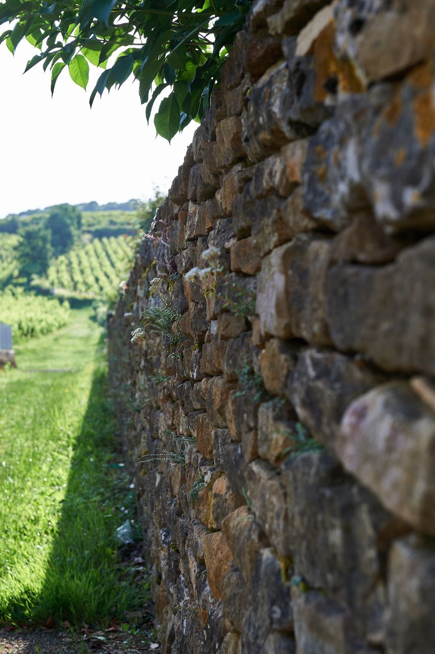 Paysage Divers mur-en-pierre-vigne