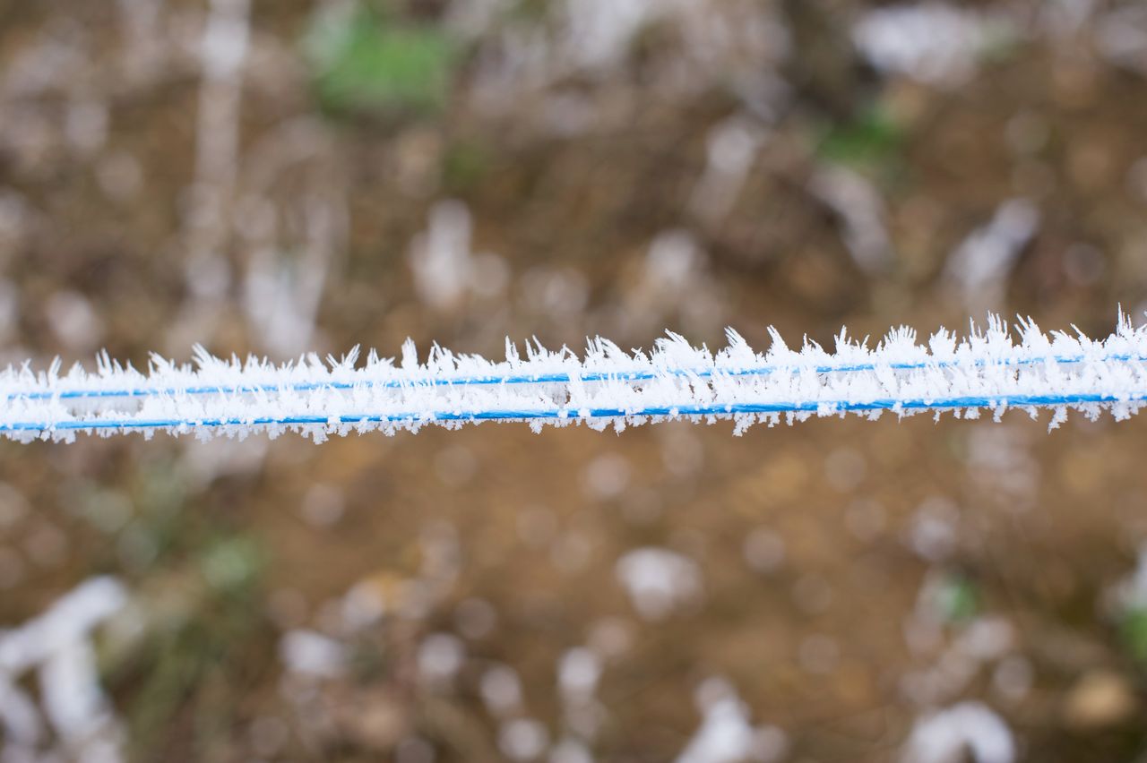 Vignoble Saison Hiver 2358