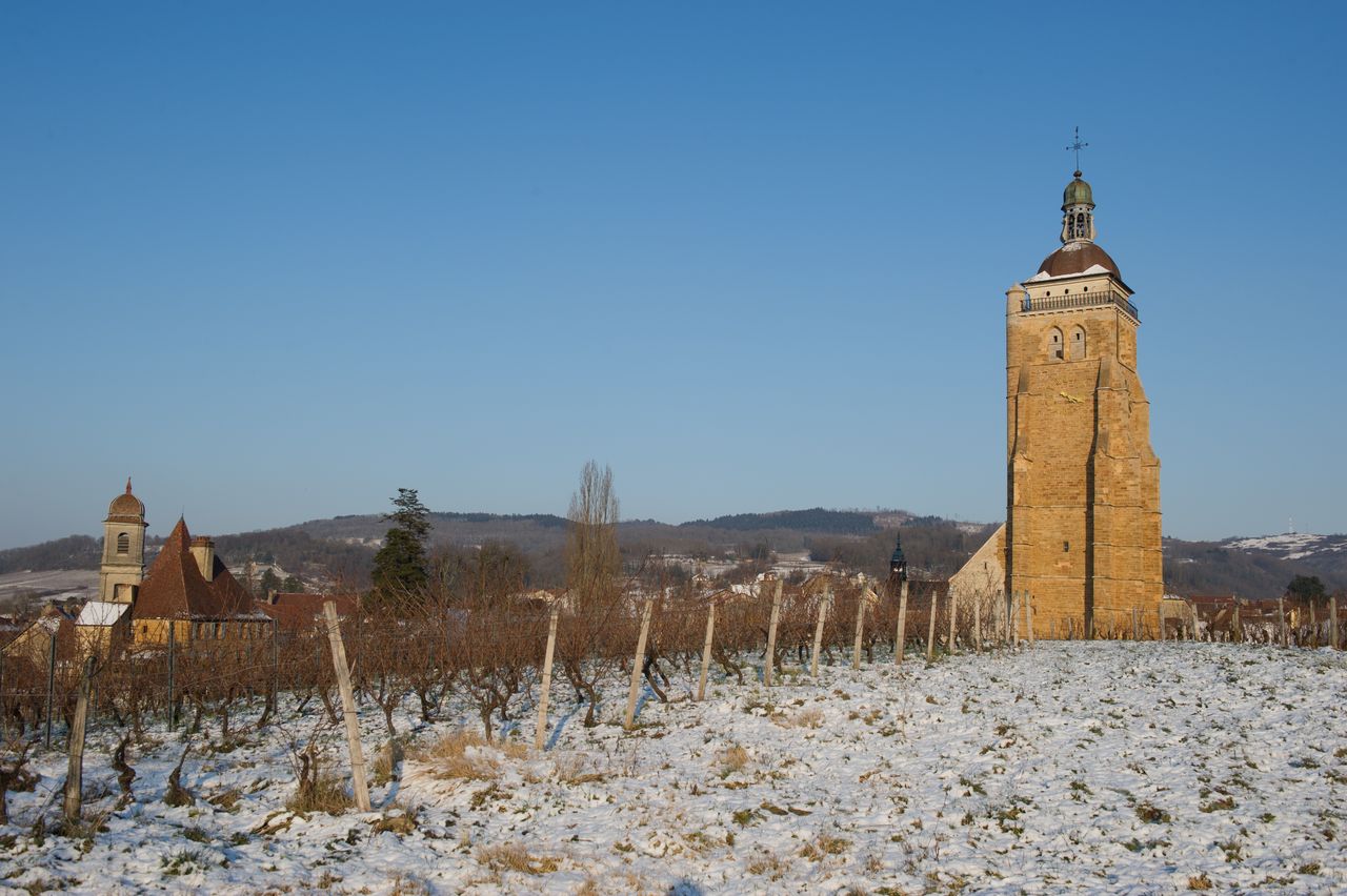 Vignoble Saison Hiver 2428