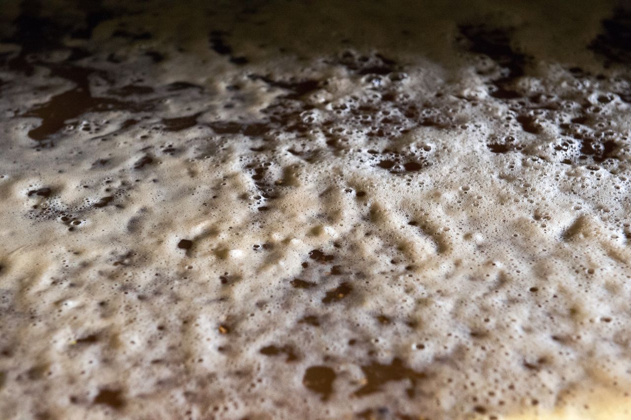 Vignoble Saison Septembre 0880