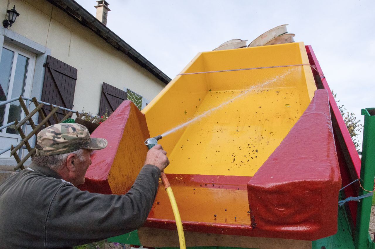 Vignoble Saison Septembre 1381