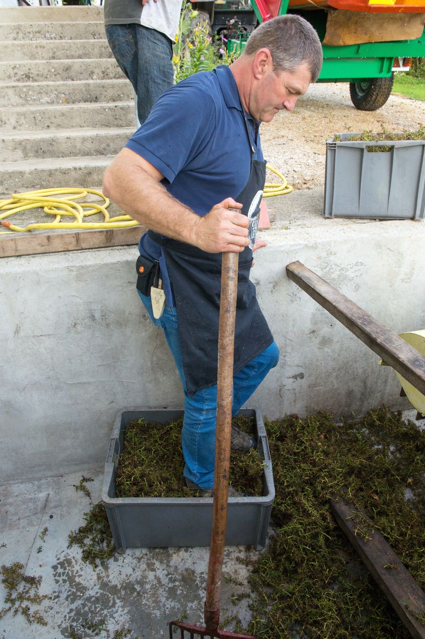 Vignoble Saison Septembre 1414