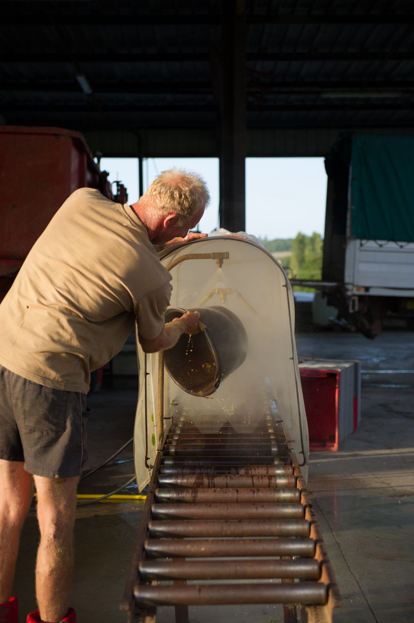 Vignoble Saison Septembre 2085