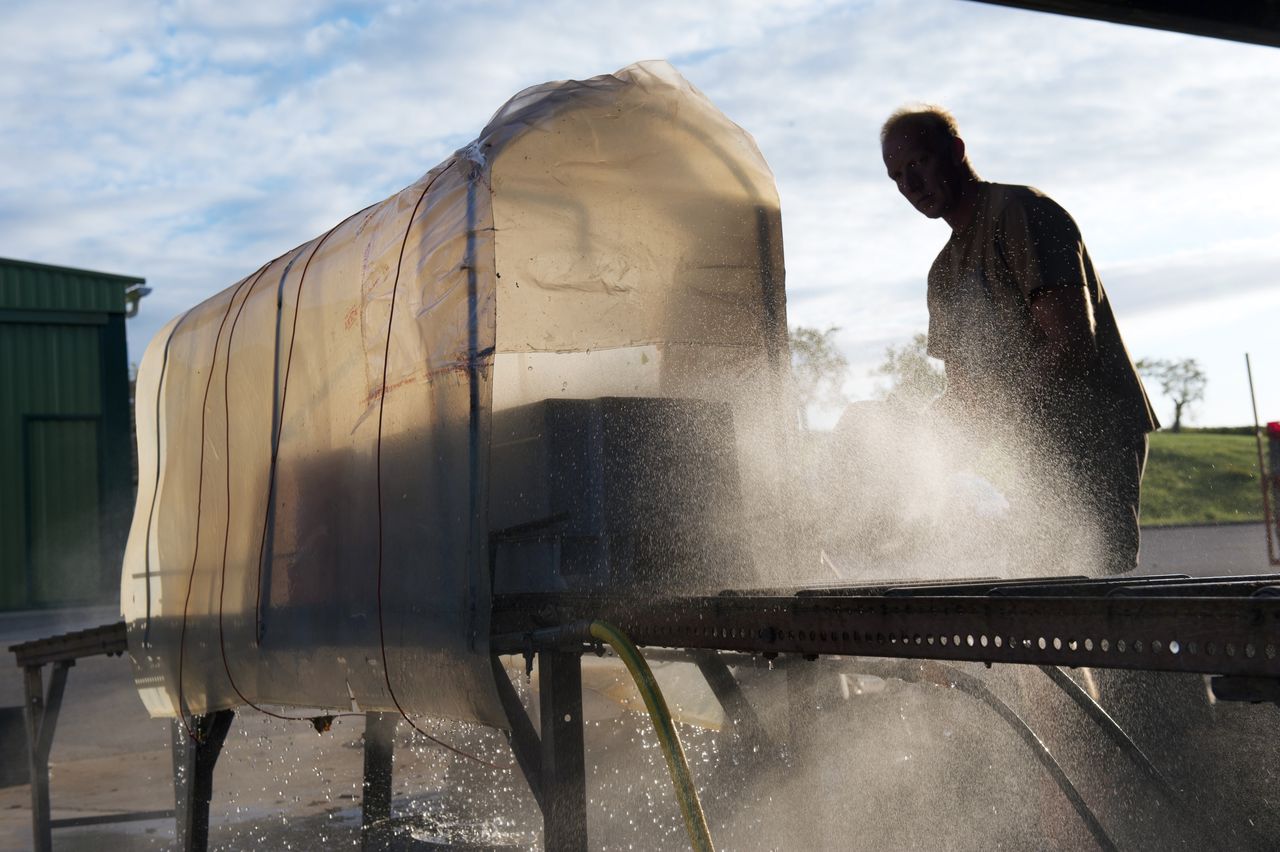 Vignoble Saison Septembre 2119
