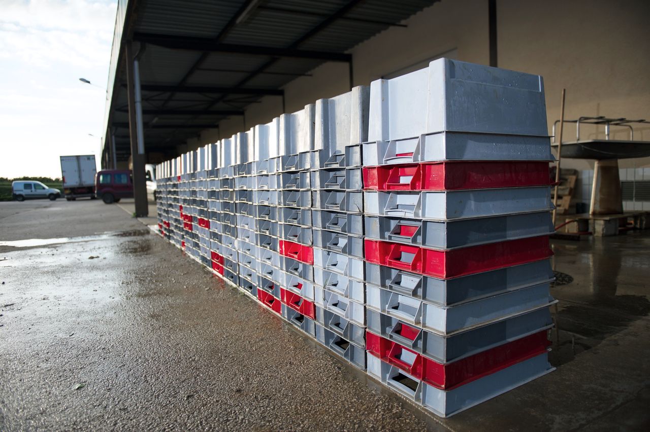 Vignoble Saison Septembre 2182