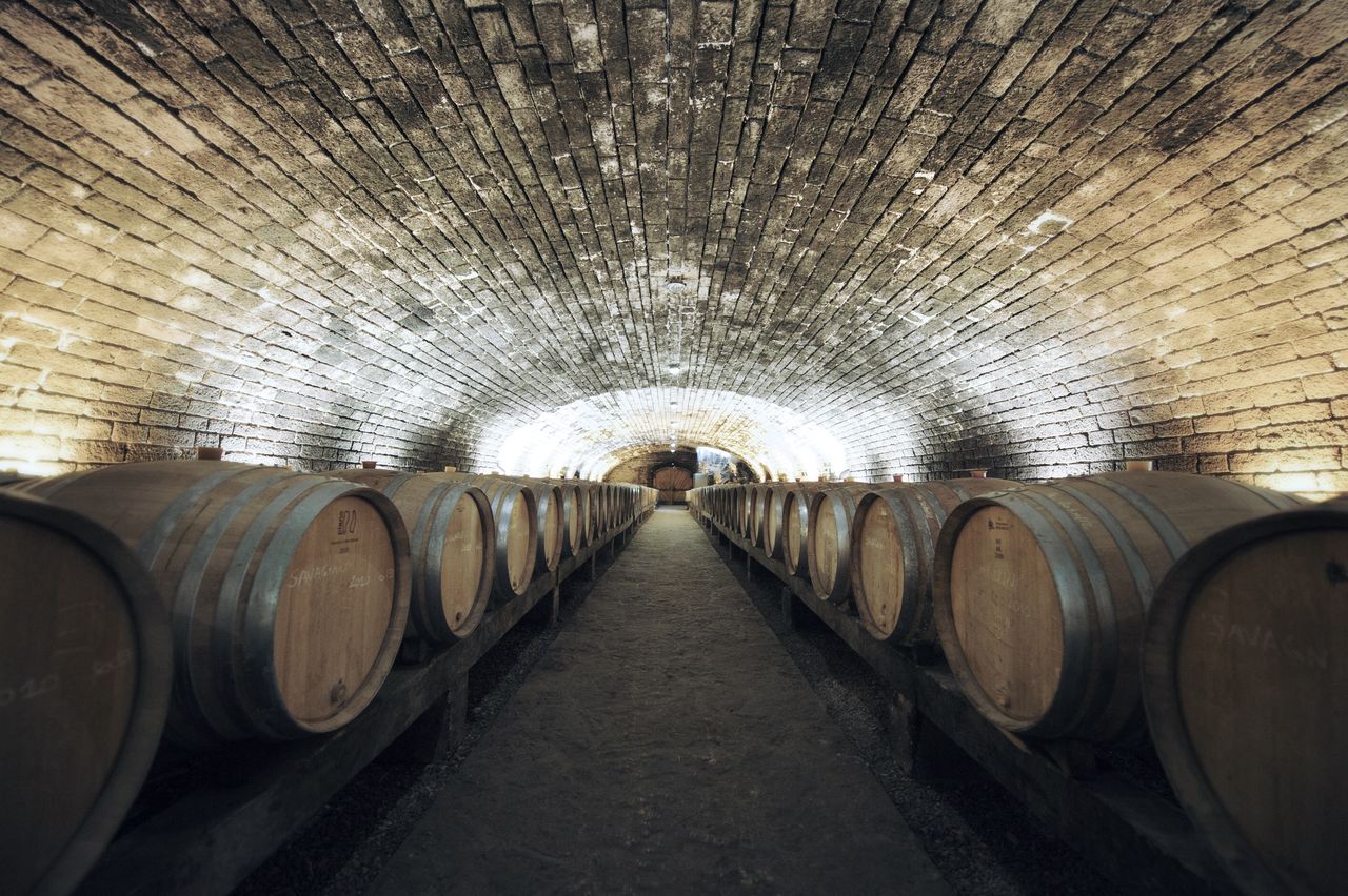 Vins Cave cave_domaine_Pinte