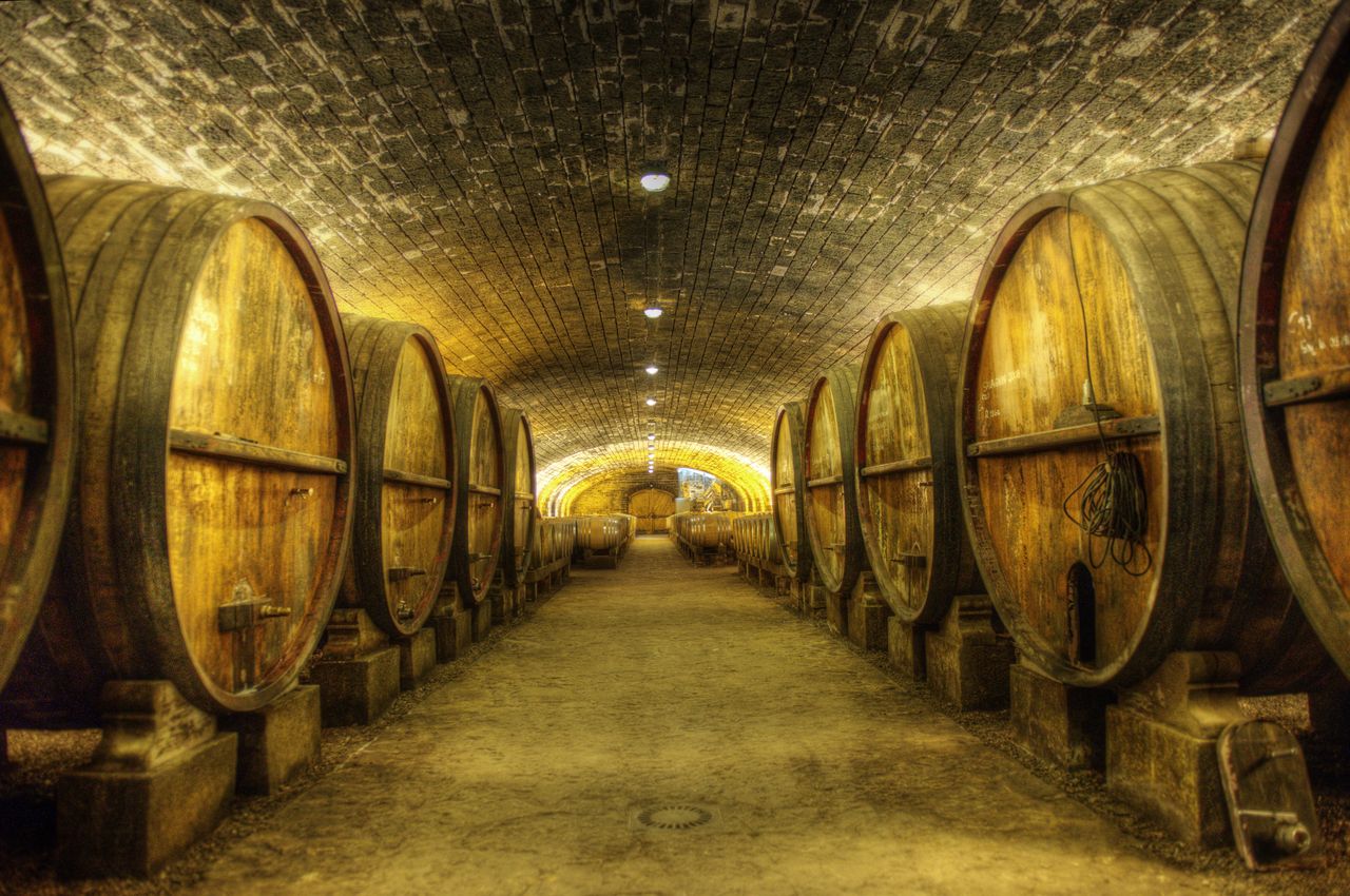 Vins Cave cave_domaine_Pinte2