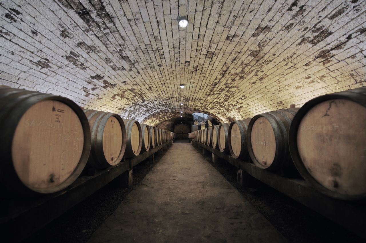 Vins Cave cave_domaine_Pinte4
