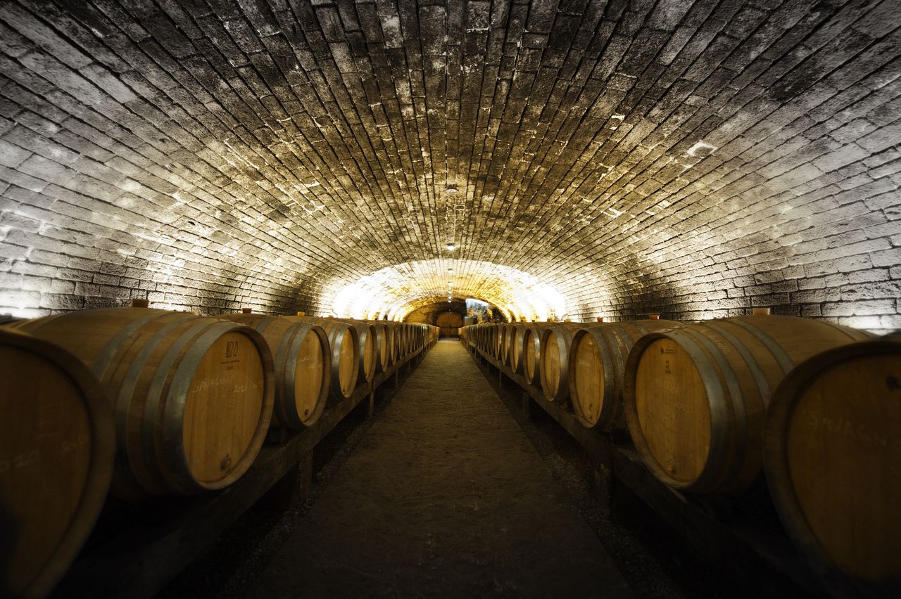 Vins Cave cave_domaine_PinteBW